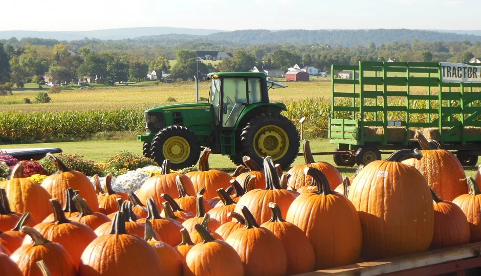 5 Fall Festivals That Highlight Bucks County Living